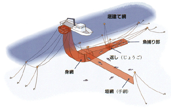 刺し網 建て網 立て網 - その他